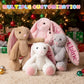 Customizedbee Embroidered Plush Bunny with Childs Name, Personalized Bunny Stuffed Animal, Custom Baby Toys, 1 Year Old Girl Gi