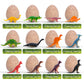 Dodomagxanadu Dinosaur Eggs,12 Dino Eggs Dig Excavation Kit Dinosaur Toys For Boys, Science Stem Dinosaur Party Favors Easter Basket Stuffers For Boys & Girls Ages 3-5 4-7 5-7+