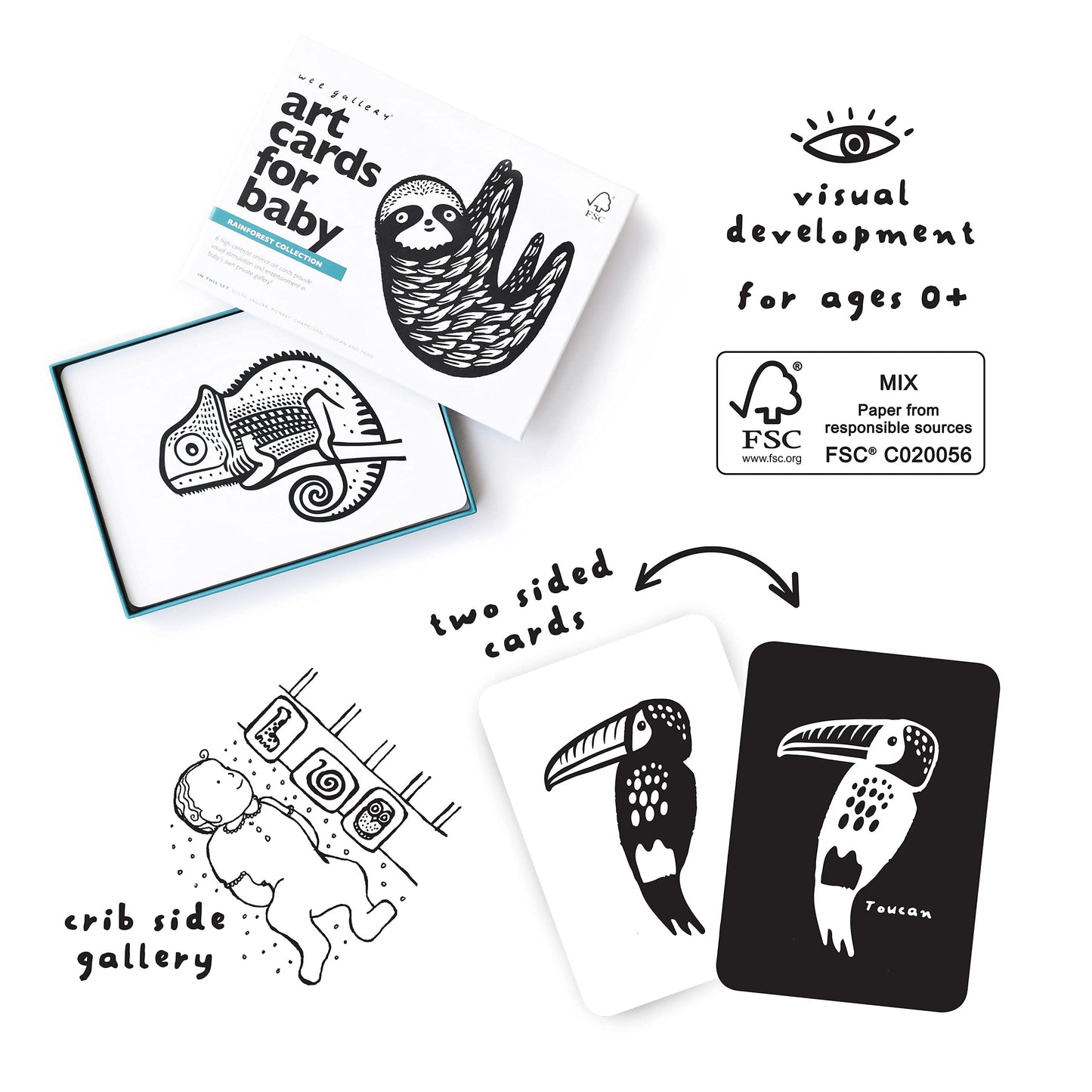 Wee Gallery Black And White Animal Art Cards For Babies, Durable High Contrast Vision Cards, Brain Development Educational Learning Tool For Newborn, Infant, Baby, Toddler - Rainforest Animals