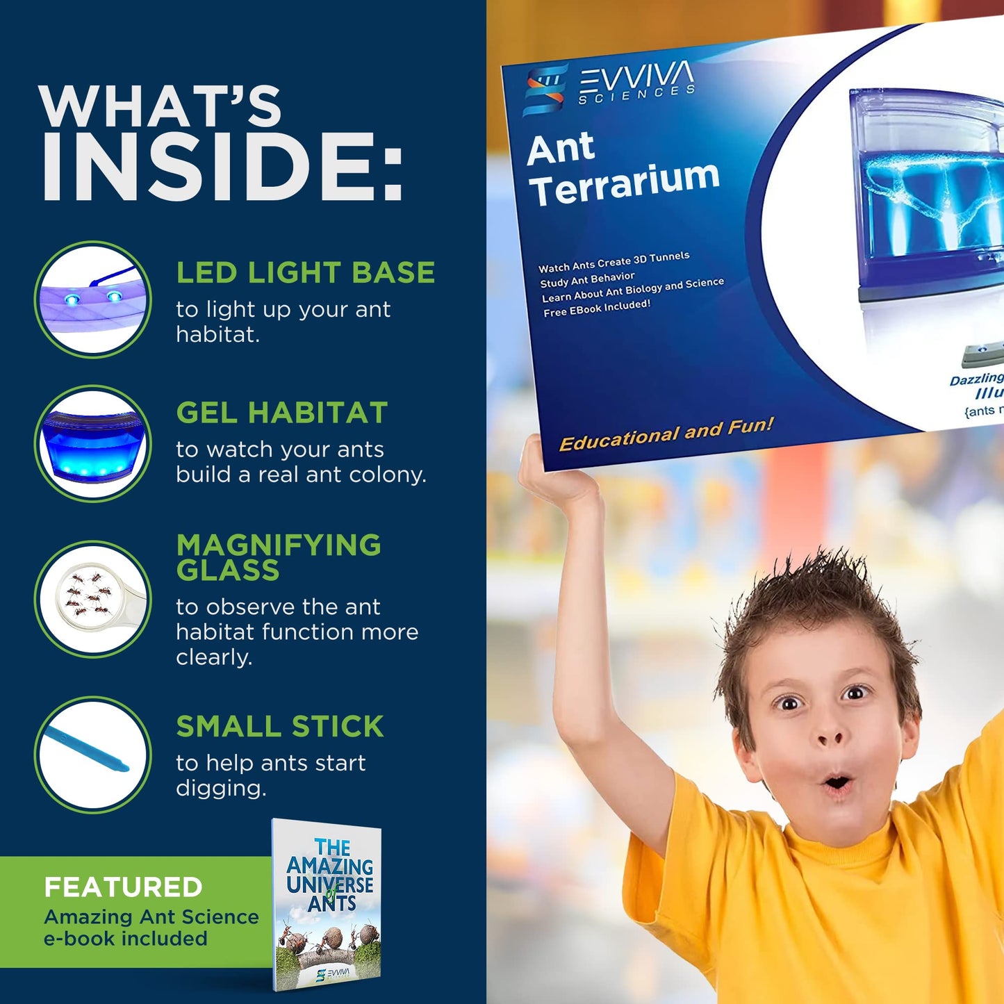 Evviva Ant Habitat W/Led Light. Enjoy A Magnificent Habitat. Great For Kids & Adults. Evviva Ant Ecosystem W/Enhanced Blue Gel.