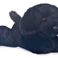 Aurora® Adorable Mini Flopsie™ Blackie™ Stuffed Animal - Playful Ease - Timeless Companions - Black 8 Inches