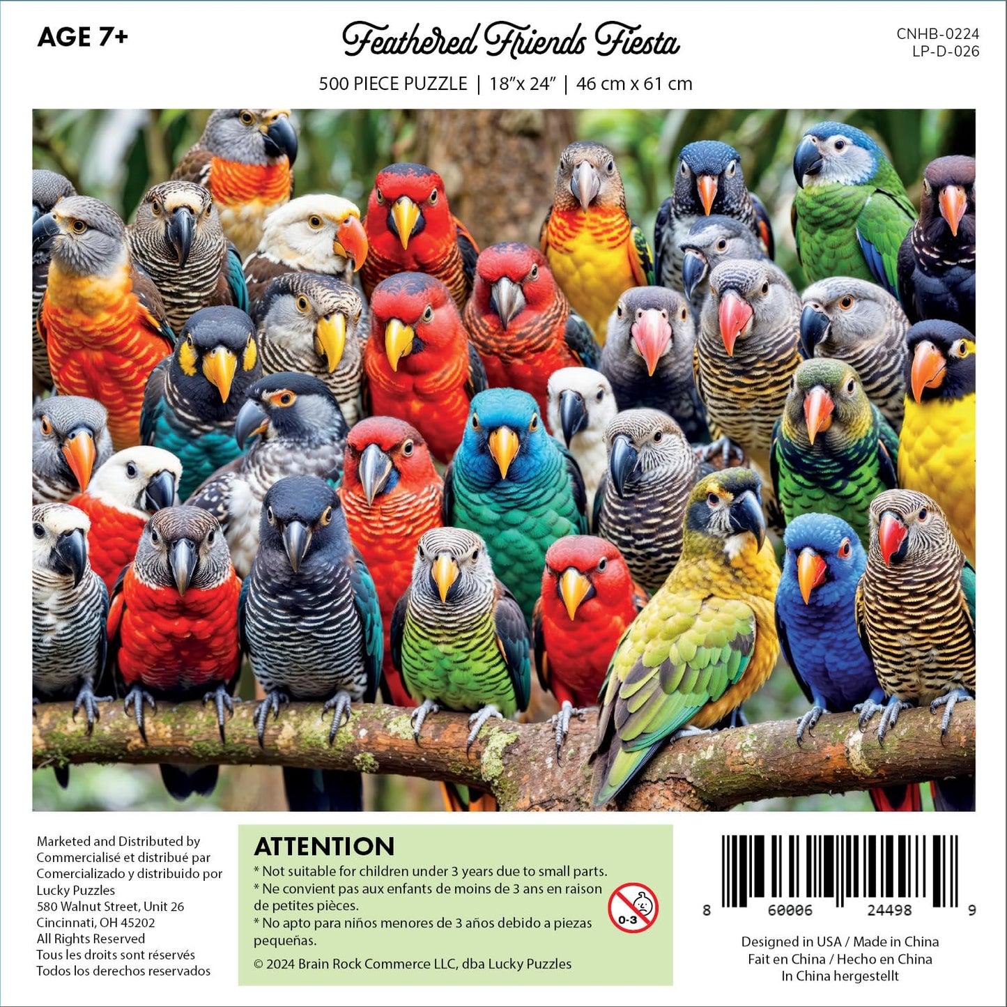 Lucky Puzzles 'Feathered Friends Fiesta' | 500 Piece Jigsaw Puzzle For Adults | Unique Bird Artwork | Best Challenging Puzzles F
