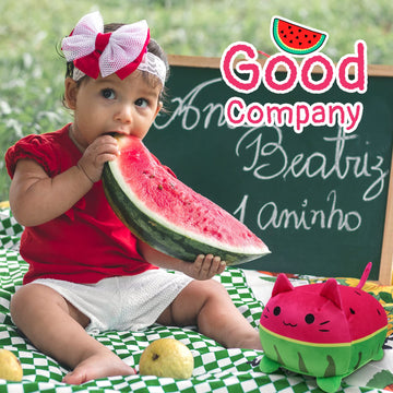 Bekrgwiy Watermelon Cat Stuffed Animal Toys For Kids,Cute Cat Plush Pillows Watermelon Cat Plushies,Fun Fruit Pillow And Toy Cat