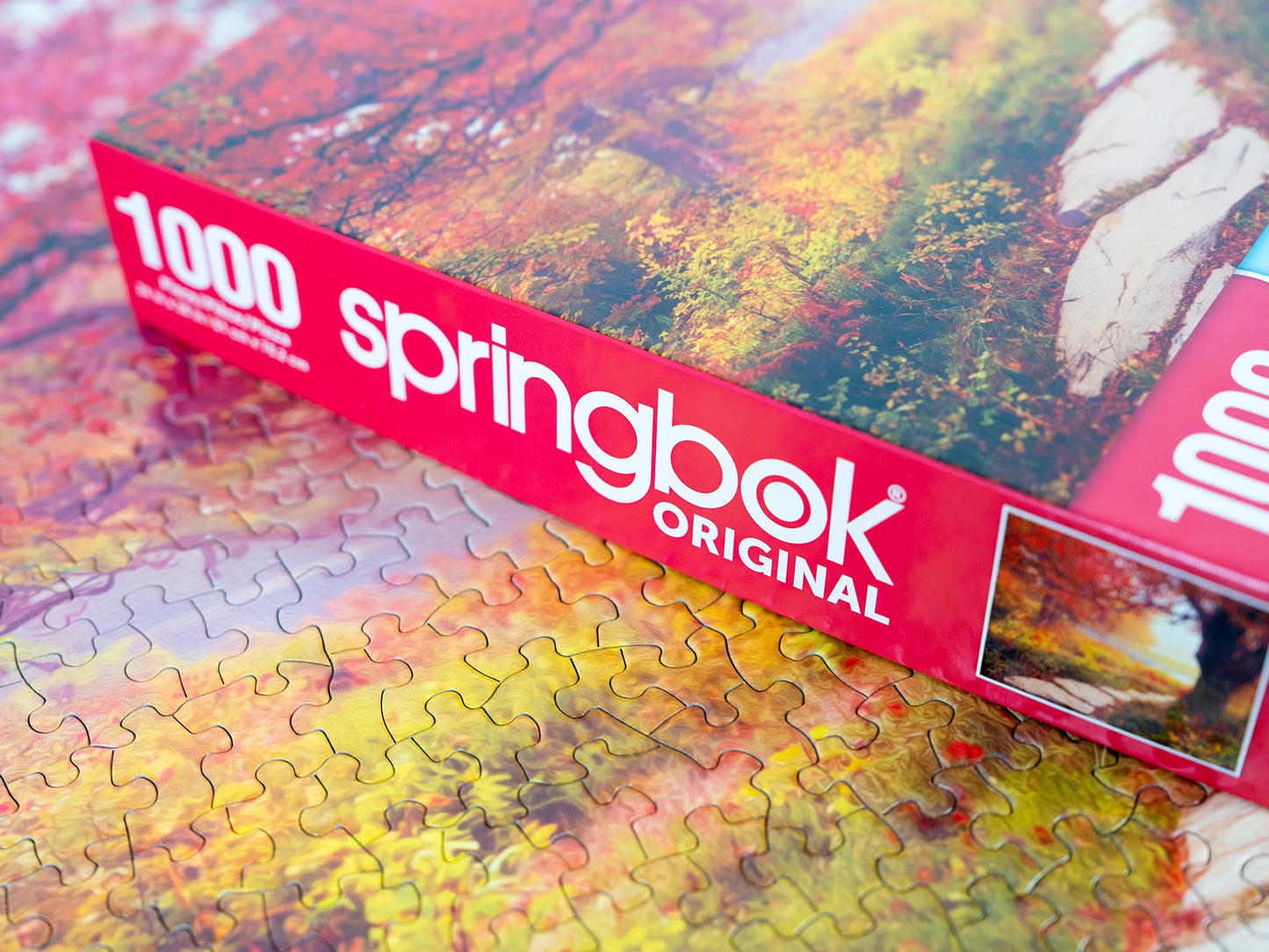 Springbok'S Stone Path 1000 Piece Jigsaw Puzzle Is A Mezmorizing Image For Puzzlers Looking For A Tranquil Escape