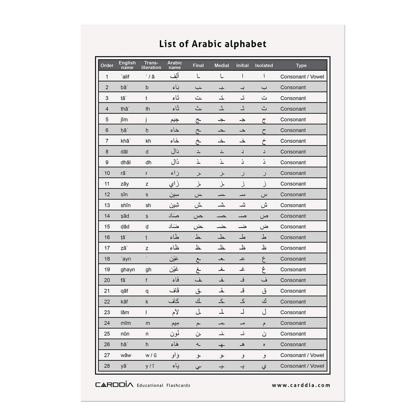 CARDDIA Arabic Alphabet Flashcards - Standard Poker Size, Black & White, Includes Consonants, Vowels, Diacritics, & Numerals for Beginners