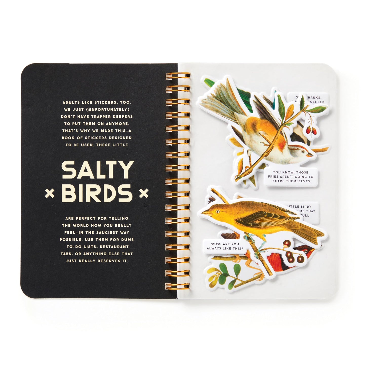 Shady Birds Sticker Book