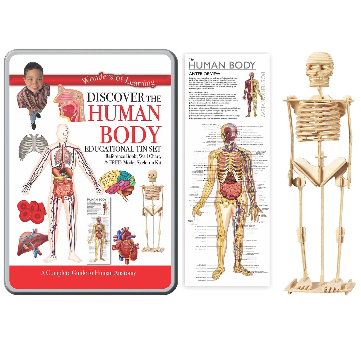 Wonders of Learning Tin Set - Discover The Human Body, Multi Color, Metal, Model RWPTS01