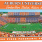 MasterPieces - 1000 Piece Jigsaw Puzzle  NCAA Auburn Tigers  Panoramic Football Stadium View  Fun for mature-themeds and Family  13x39