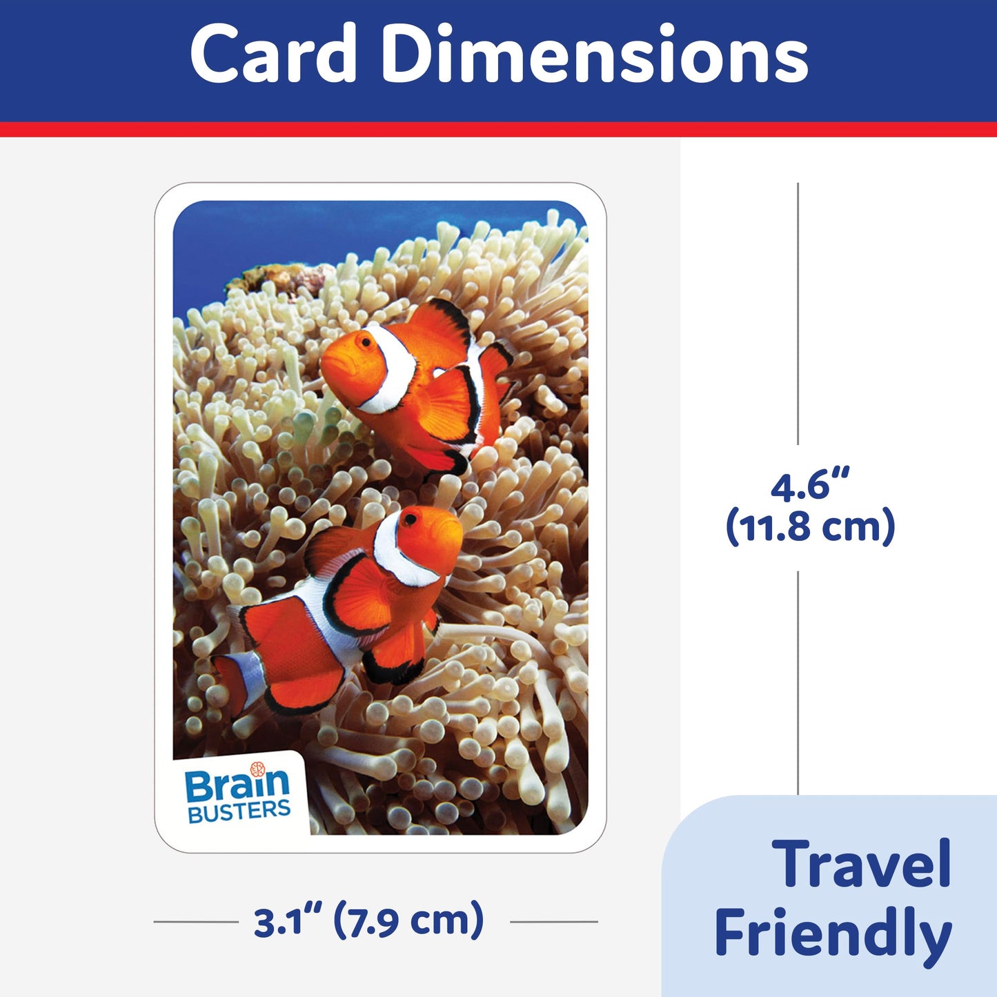 Brain Busters Card Game For Kids, Family Trivia Game Bundle With 120 Flash Cards - Learn And Play With Multiple Choice Trivia Ca