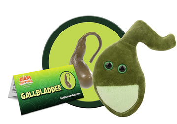 Giantmicrobes Gallbladder Plush,Gallbladder Stuffed Animal, Gallbladder Surgery Gifts, Gallbladder Removal Gift, Gastroenterology Gifts, Get Well Gift