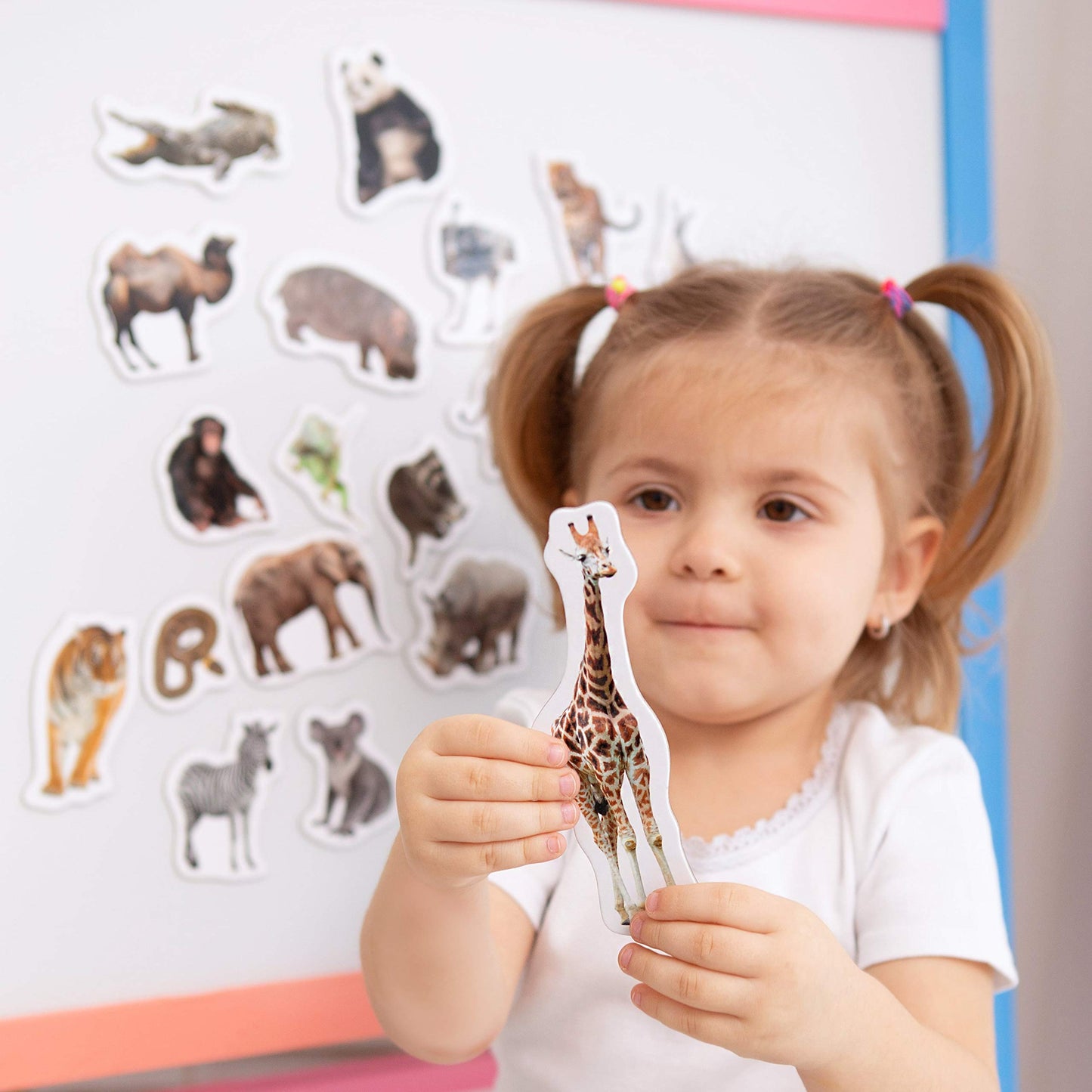 Magdum 19 Fridge Magnets For Toddlers Zoo Photo Kids Magnets For Fridge - Toddler Magnets For Refrigerator - Magnetic Animals - Fridge Magnets For Kids - Animal Magnets - Toddler Fridge Magnets