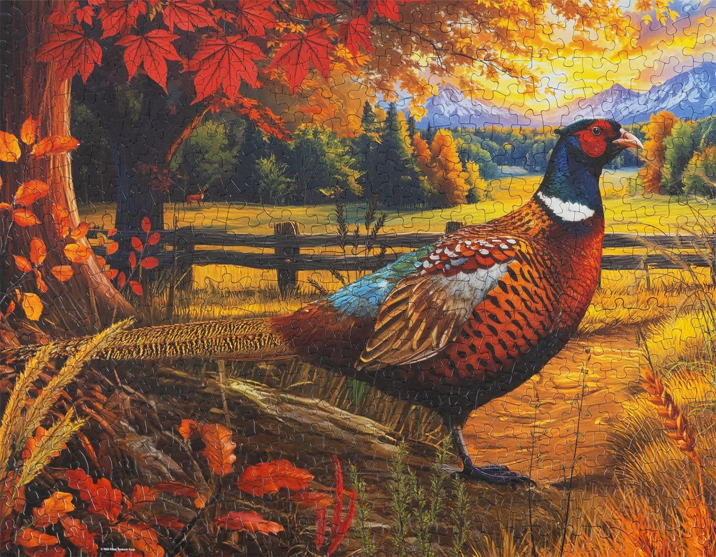 Springbok 500 Piece Jigsaw Puzzle - Golden Fields Pheasant in Fall Scene - Unique Cut Cardboard - 18x23.5 inches - Model 33-01773