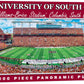 South Carolina Panoramic 1000 Pc