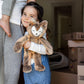 Slumberkins 14' Fox Kin & 2 Board Books Complete Set Bundle | Supports Changes, Coping Skills & Transitions | Social Emotional Development | Soft Plush Animal Gift Set (Fox Kin Plush + 2 Board Books)