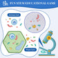 Giftamaz Animal And Plant Cell Anatomy Model, Soft Felt Toy, Early Cell Biology And Life Science Stem Toys, Classroom Teaching Aid, Educational Learning Activities Stem Birthday Toys For Kids 6+