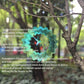Hummingbird Wind Spinners Hummingbird Gifts For Women/Men Wind Spinner Outdoor Hummmingbird Spinners For Indoor/Outdoor Yard Gar