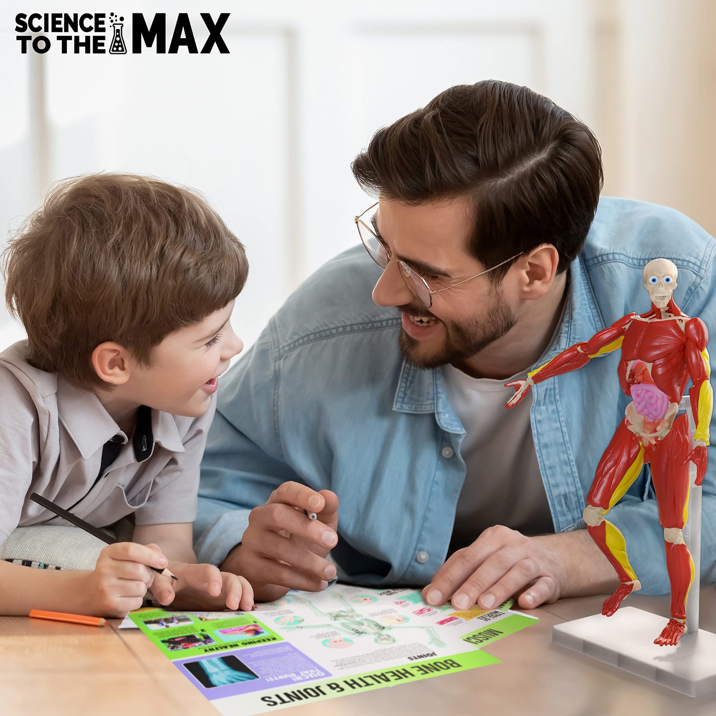 Be Amazing! Toys Interactive Human Body - 60 Piece Fully Poseable Anatomy Figure - 14    Tall Model - Anatomy Kit - Removable Mu