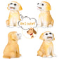 H&W Labrador Dog Coin Money Bank, Shatterproof Dog Piggy Bank, Creative Money Bank, Can Store 1000 Coins, Best Bitrthday Gift (Wk34-D2)