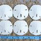 Nautical Crush Trading Sand Dollar | Real Sand Dollars 2 1/2 to 3 (Set of 6) | Sand Dollar Shells Plus Free Nautical eBook by Jo