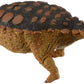 Safari 306129 Prehsitoric World Ankylosaurus Minature