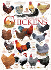 Cobble Hill 1000 Piece Puzzle - Chicken Quotes - Includes Sample Poster - Cardboard - Model 40137