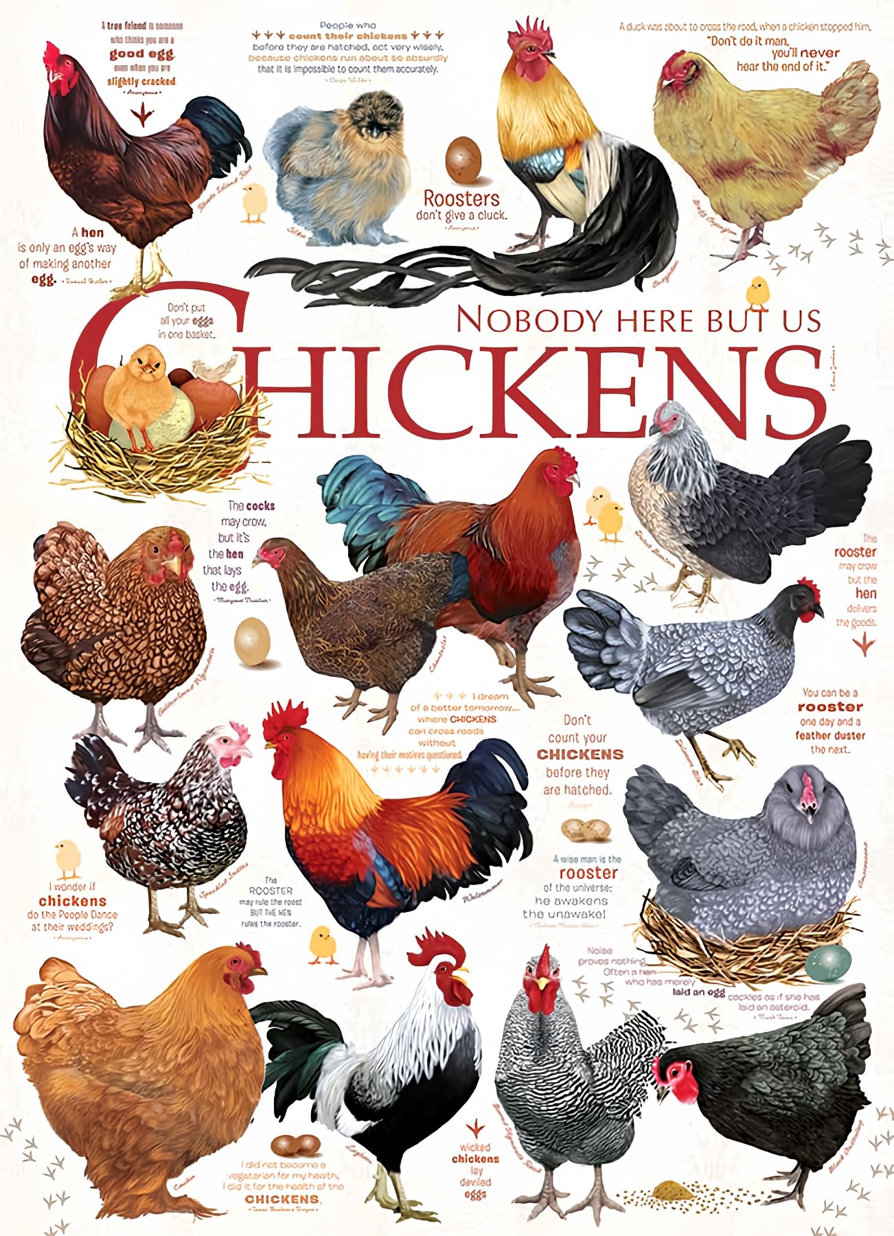Cobble Hill 1000 Piece Puzzle - Chicken Quotes - Includes Sample Poster - Cardboard - Model 40137