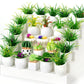 26Pcs Miniature Potted Plants, Mini Artificial Plants, 1:12 Scale Doll House Accessories, Suitable for Dollhouse Decoration, Chr
