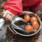 PLAY EGGS 6/PK