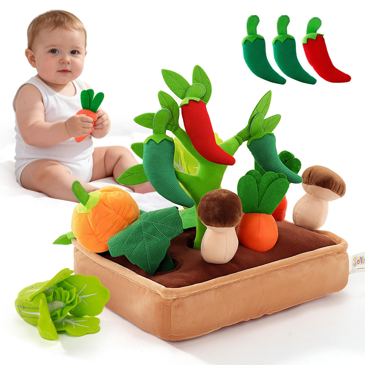 Jollybaby Soft Plush Montessori Sensory Vegetables Toys for Baby 636 Month
