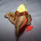 Ty Beanie Baby - Glider The Bird