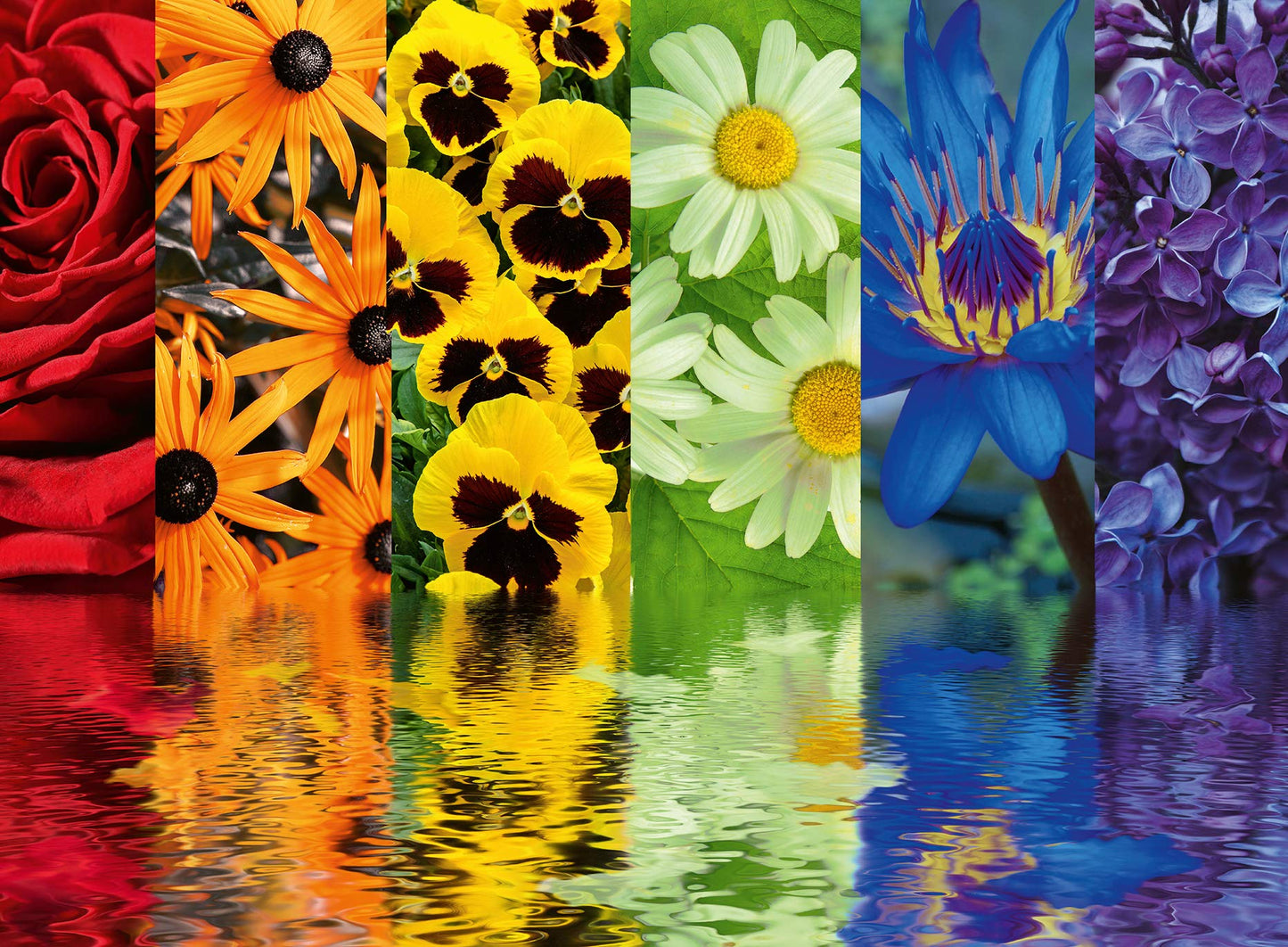 Ravensburger Floral Reflections 500-Piece Puzzle | enhanced Quality Material | Unique Piece Design | Anti-Glare Surface | Great Gift for Puzzlers