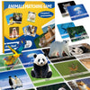 Goldge 120Pcs Memory Match Game For Kids | Animal Theme | Educational Toddler & Preschool Activity | Boys, Girls, & Family Fun |