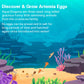 Aqua Dragons Eggs & Food Combo - Refill For Your Own Tank