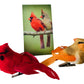 Westmon Works Cardinal Decor Set With Clip Male And Female Love Bird Cardinals With Story Card Boxed