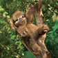 Folkmanis 3131 Three-Toed Sloth Hand Puppet, One Size, Multicolor