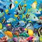 Ocean Colors By Howard Robinson