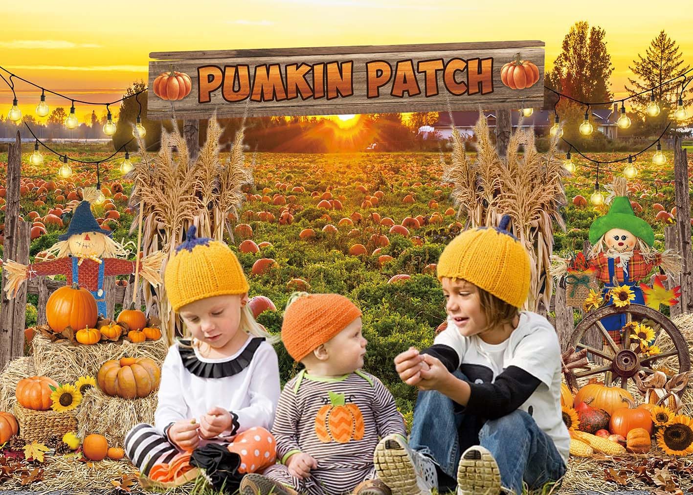 Fall Pumpkin Patch Backdrop Banner Pumpkin Patch Harvest Photography Background Fall Autumn Thanksgiving Party Decorations Photo