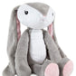 Little Adventures Adventure Pals Soft Plush Minky Stuffed Animal Toys (Bethany Bunny)
