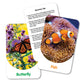 The Learning Journey Discovery Cards - Out & About - Toddler Toys & Gifts For Boys & Girls Ages 2 Years And Up - Mind Building Educational Learning Tool, Multi