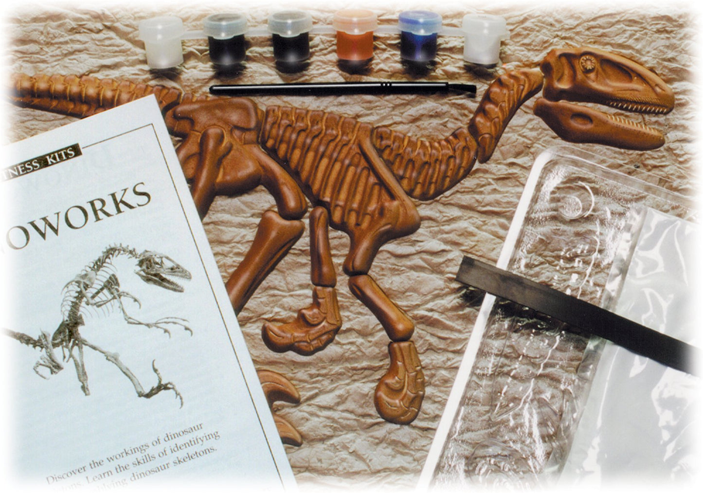 Skullduggery Eyewitness Kit Dinoworks Velociraptor Skeleton Casting Kit