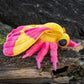 ZHONGXIN MADE Rosy Maple Moth Plush Toy - Realistic 11in Soft Pink Wings, Polyester