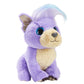 Style & Scurff Pets