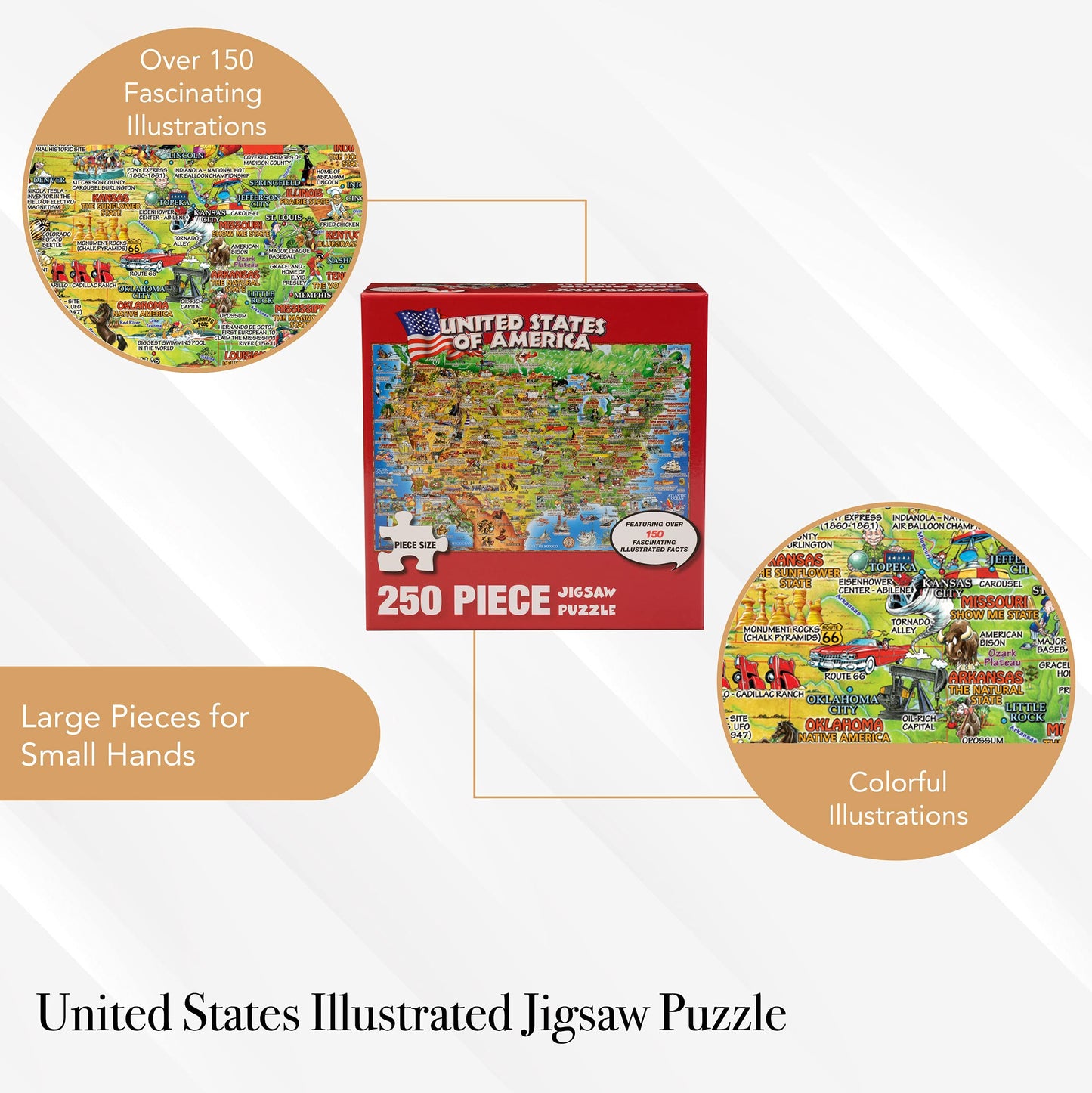 Maestral United States Illustrated 250 Piece Jigsaw Puzzle