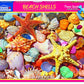 White Mountain Puzzles Beach Shells - 500 Piece Jigsaw Puzzle