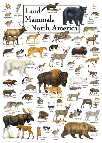 Masterpieces 1000 Piece Jigsaw Puzzle For Adults, Family, Or Youth - Land Mammals Of North America - 19.25'X26.75'