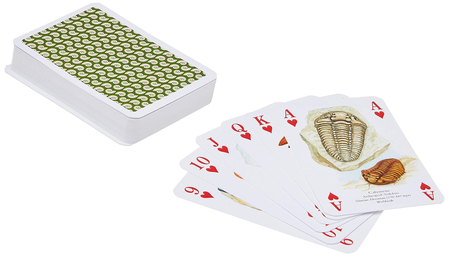 Fossils Set Of 52 Playing Cards + Jokers (Hpc)