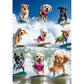 2000 Piece Puzzle for Adults - Adorable Surfing Dogs in Colorful Life Vests - Vibrant Beach Scene Jigsaw Puzzle - Challenging 20