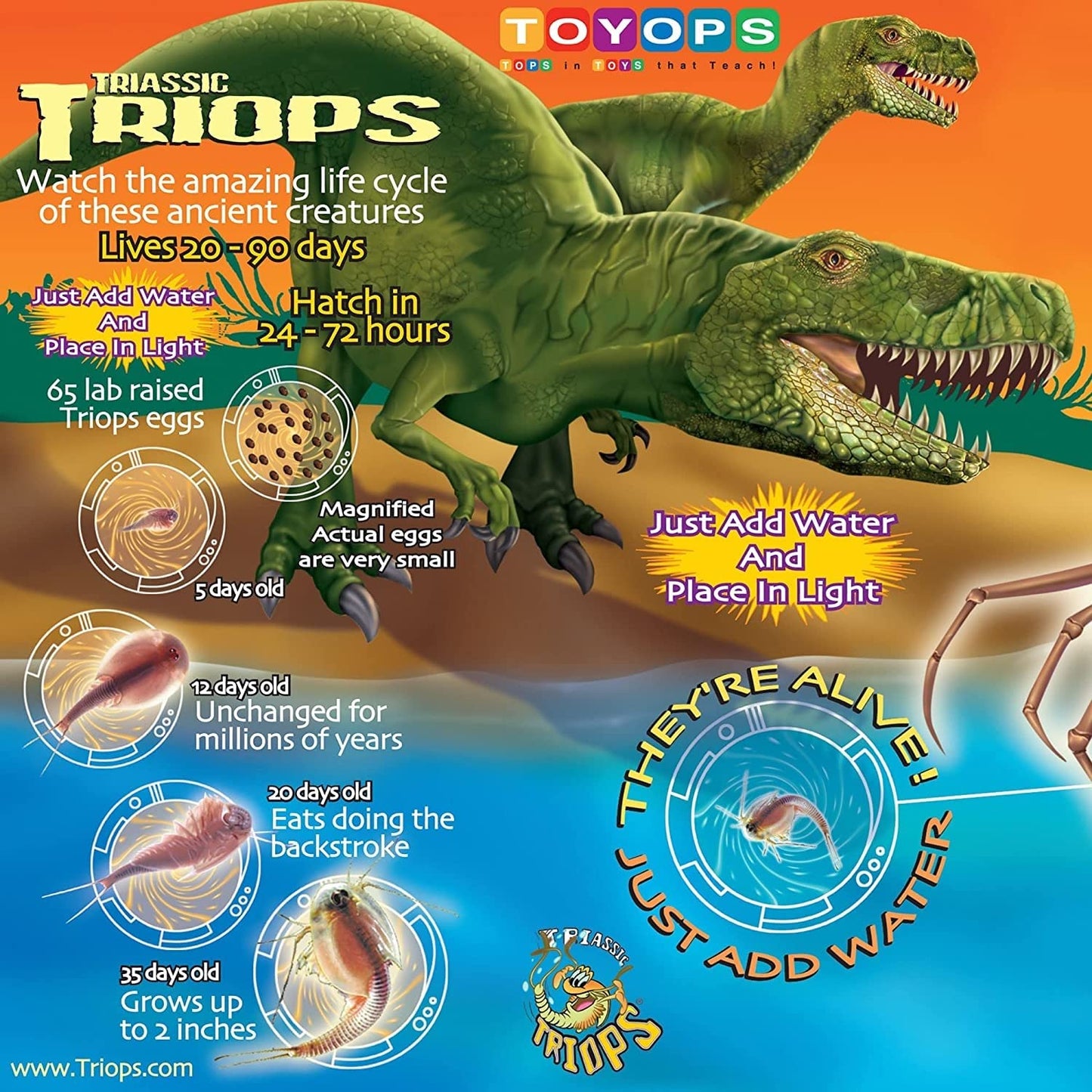 Triassic Triops - Triops Kit, Contains Eggs, Aquarium, Food, Instructions And Helpful Hints To Hatch And Grow Your Own Prehistor