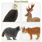 Toymany 12Pcs North American Forest Animal Figurines, Realistic Jungle Animal Set Includes Raccoon,Lynx,Wolf,Bear,Eagle, Educational Toy Cake Toppers Christmas Birthday Gift For Kids Toddlers