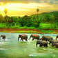 Eurographics Rainforest 1000-Piece Puzzle